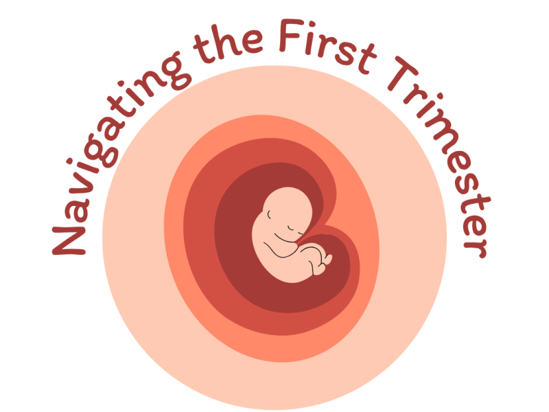 Navigating the First Trimester of Pregnancy